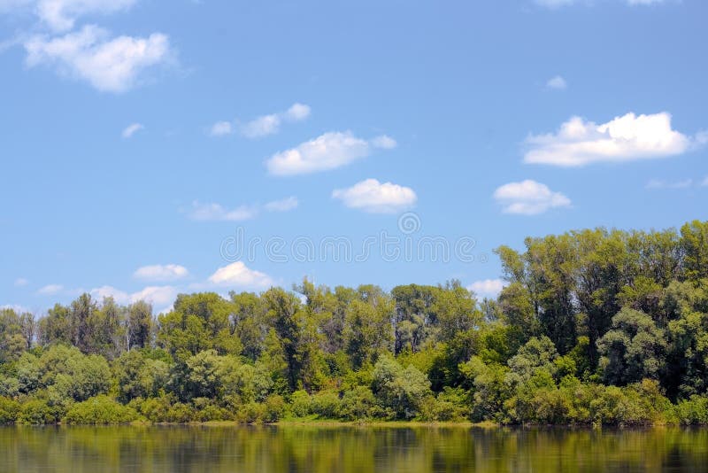 Summer landscape