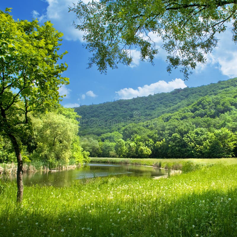 Letné krajina s riekou, modrá obloha a montáž.