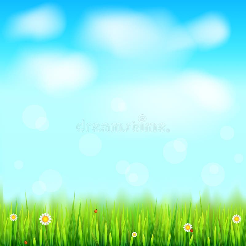 Summer landscape background, green, natural grass border with white daisies, camomile flower and small red ladybug. Blue