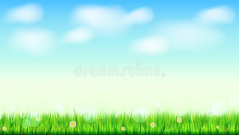 Summer landscape background, green, natural grass border with white daisies, camomile flower and small red ladybug. Blue