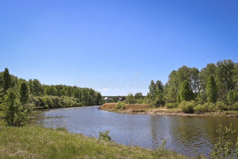 Summer landscape - A calm flat river among fields and birch groves under a blue sky. Cloudless summer weather