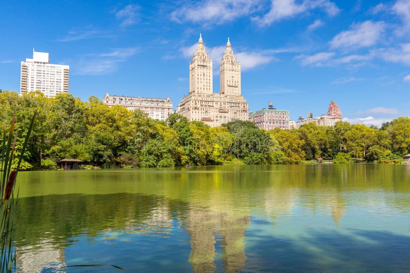 Summer Landscape in the Central Park, New York, USA Stock Image - Image ...