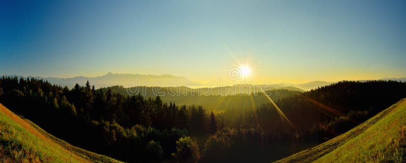 Summer landscape