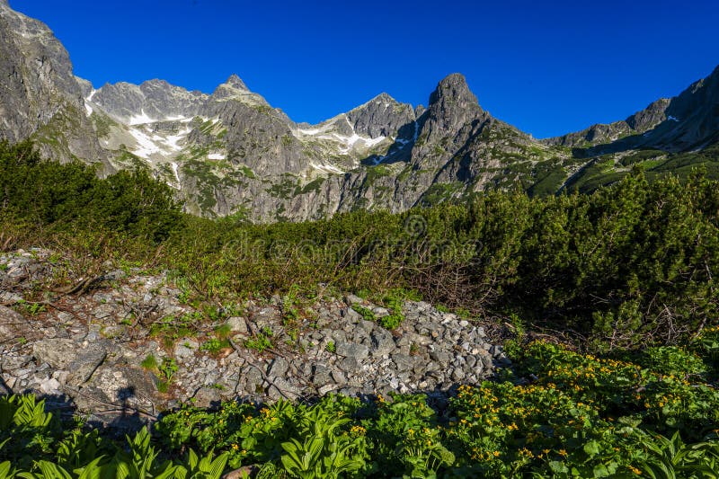 Letní krajina Vysokých Tater v okolí Zeleného Plesa. Tatranský národní park, Slovensko