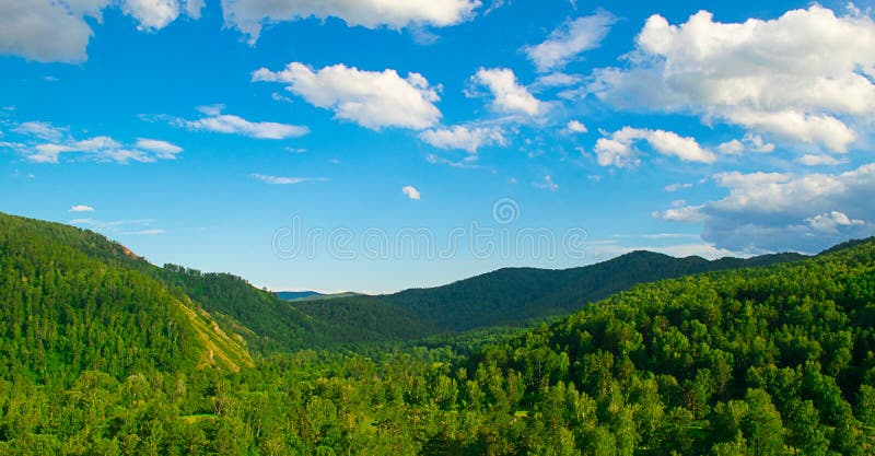 Summer Landscape Magnificent Green Hills And Forest With Different