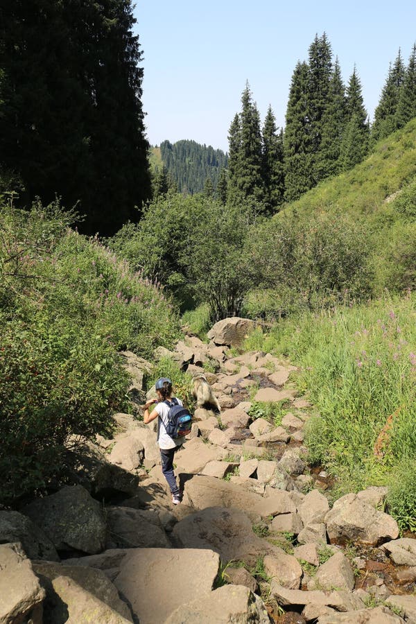 Summer landscape in the mountains. royalty free stock photography Summer landscape in the mountains. royalty free stock photography