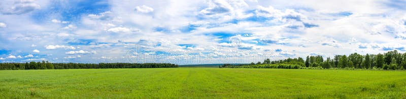 Summer landscape a panorama with a field and the blue sky. agri