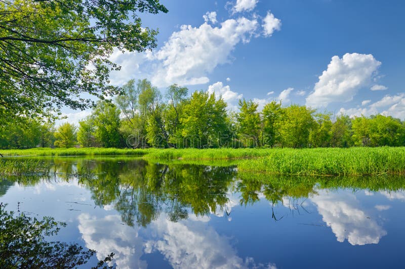 Estate, paesaggio, fiume Narew nuvole, cielo blu e verdi alberi Polonia.