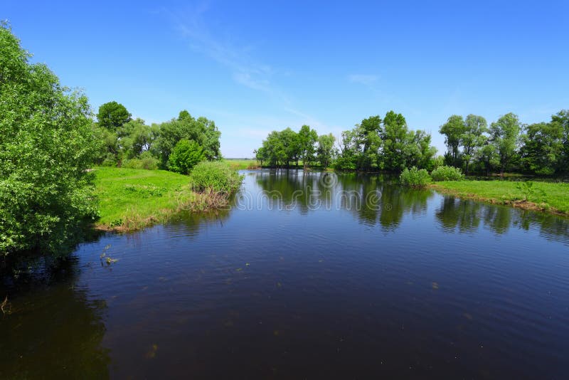 Summer landscape with river and green trees