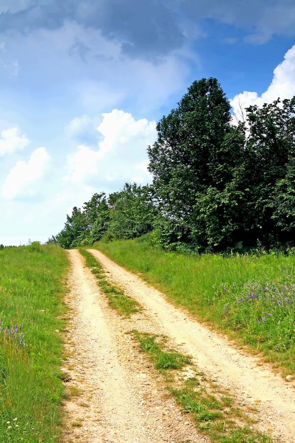 Summer landscape of single road and trees