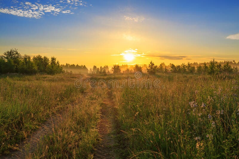 Summer landscape with sunrise, fog and the road stock photography Summer landscape with sunrise, fog and the road stock photography