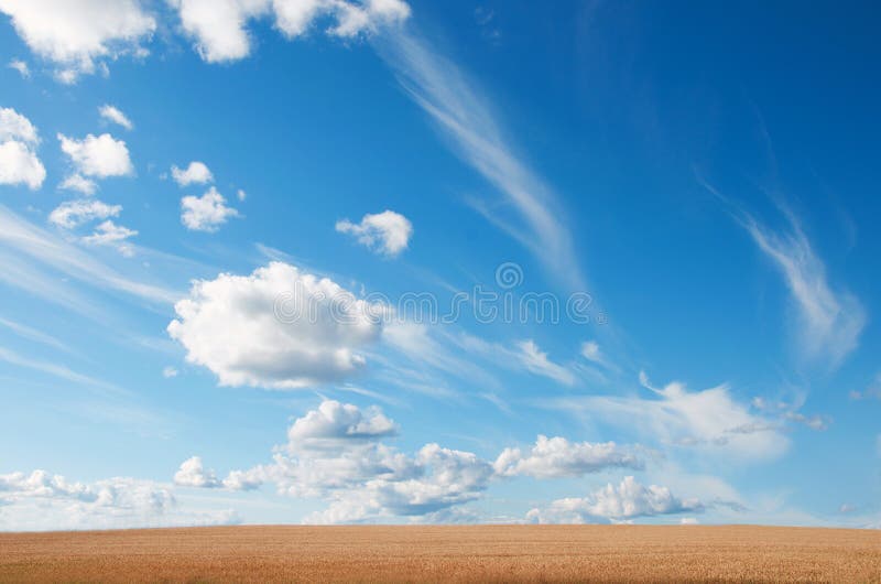 Summer Landscape with Wheat Field and Clouds