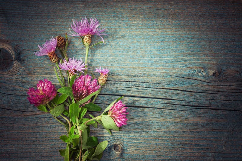 Summer meadow flowers bouquet. Floral composition in rural style