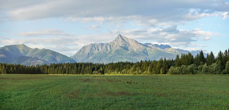 Letná lúčna panoráma s lesom a horou Kriváň Slovenský symbol vrchol v diaľke, poobedné oblaky nad