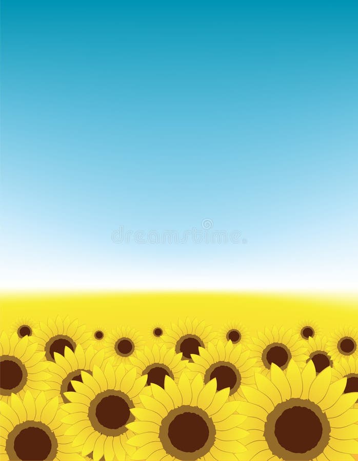 Summer meadow, sunflowers field