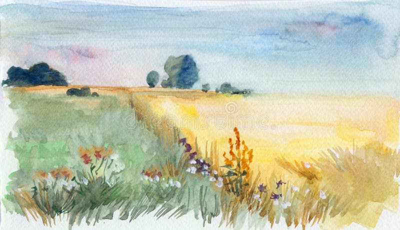 Summer morning field