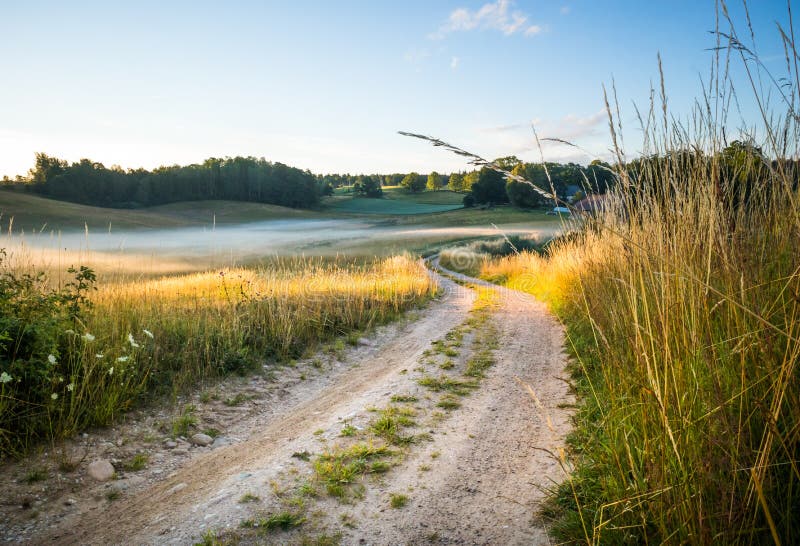 A summer morning landscape with a gravel road in the rural area. Countryside dirt road.