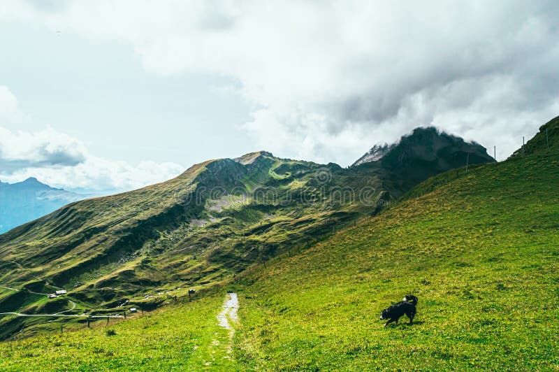 Summer Mountain Landscape With Green Grass And Mountain Peaks Stock Photo Image Of Hill Summer Mountain Landscape With Green Grass And Mountain Peaks Stock Photo Image Of Hill