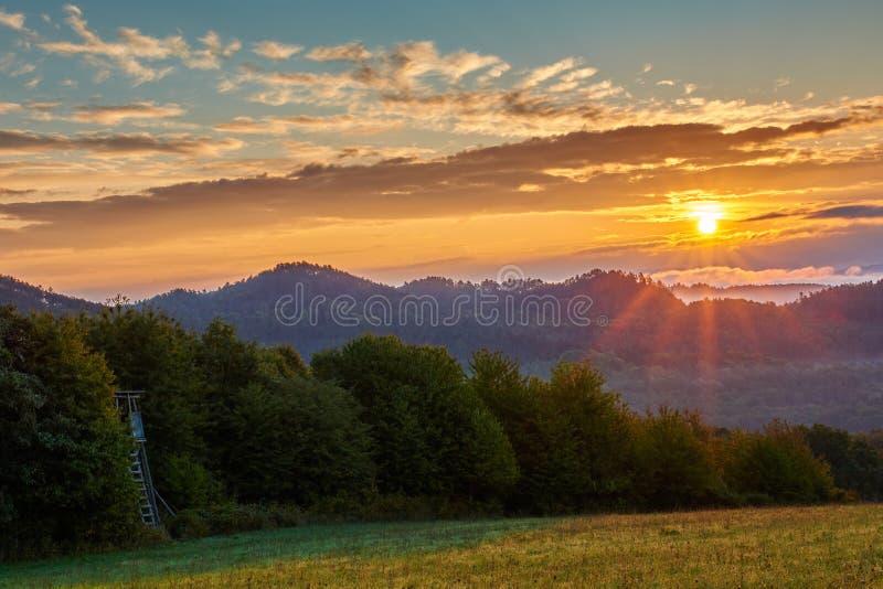 Summer mountain landscape with forest at sunrise, sunstar.