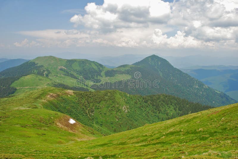 Summer in mountains