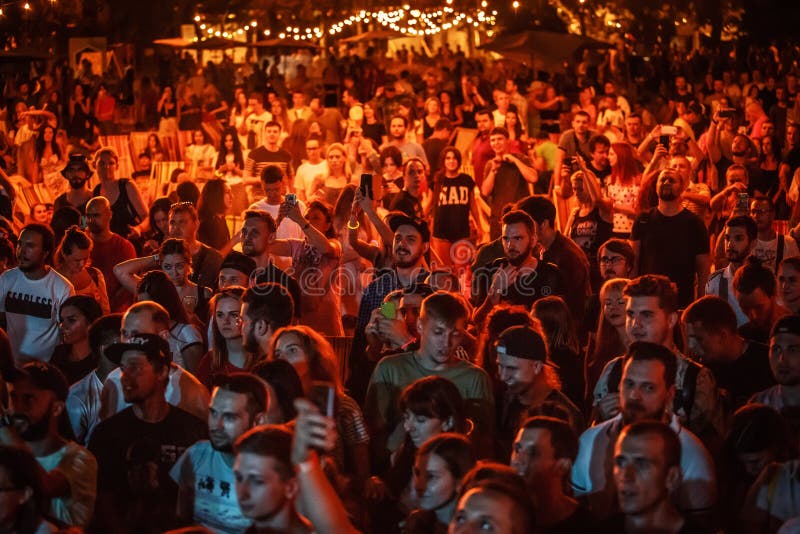Excited Crowd at Outdoor Summer Music Festival
