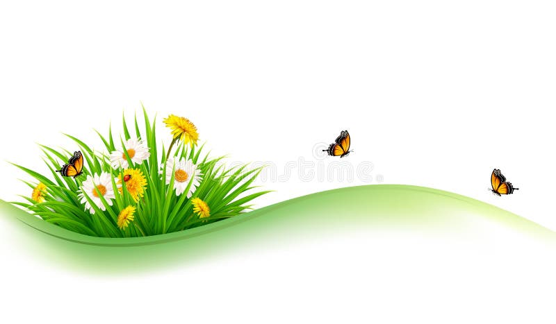 Summer nature background with grass, flowers and butterflies.