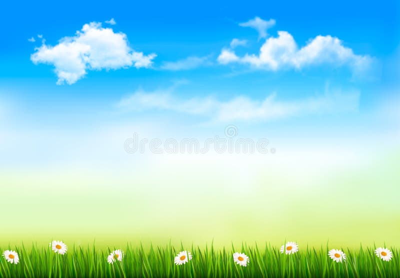 Summer Nature Background with Green Grass and Sky Stock Vector -  Illustration of green, color: 38259008