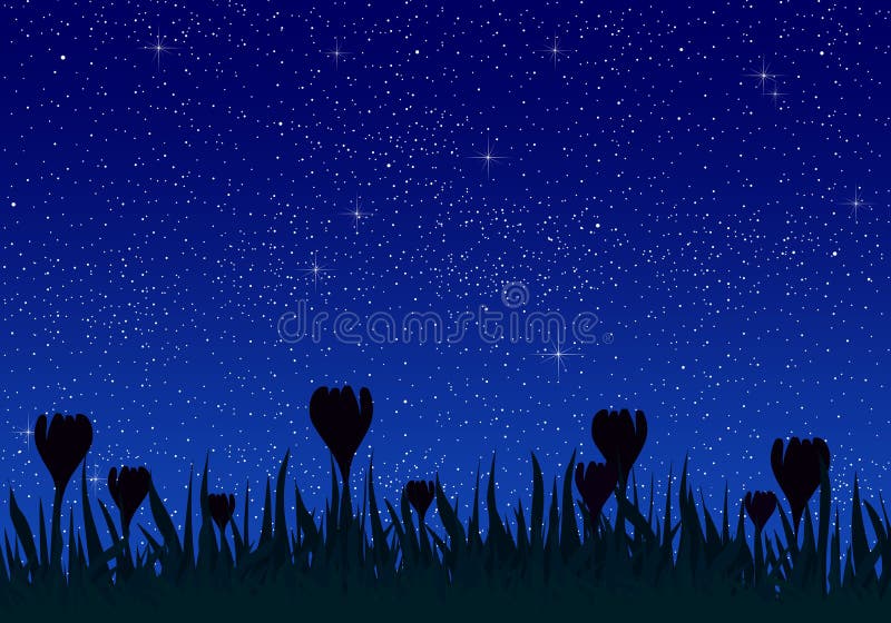 Summer night landscape with bright blue sky with glowing stars with grass and meadow flowers in the meadow. Beautiful romantic bri stock illustration Summer night landscape with bright blue sky with glowing stars with grass and meadow flowers in the meadow. Beautiful romantic bri stock illustration
