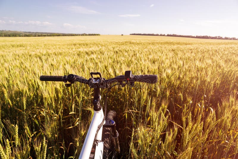 Summer outdoor photo e-bike in gold wheat field