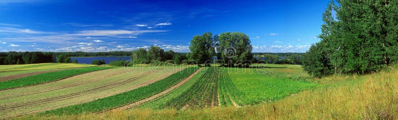 Panoramic country side summer picture. Panoramic country side summer picture