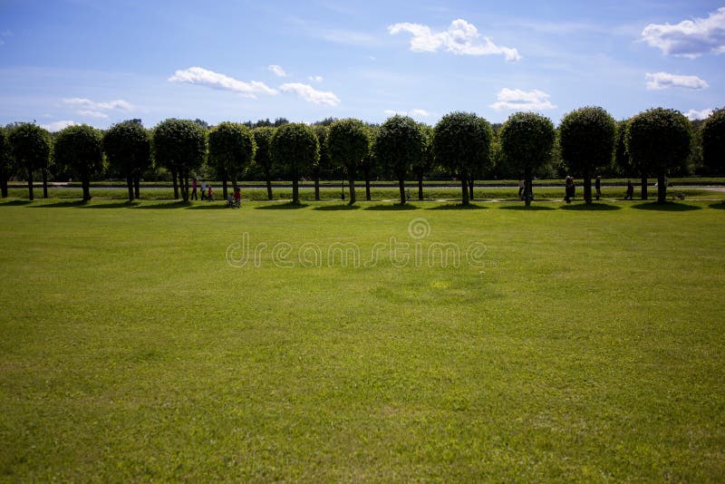 Summer park background