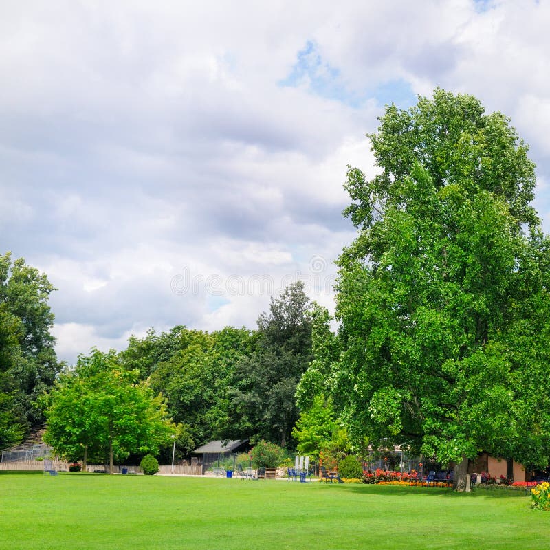 Summer Park with Beautiful Flowers and Lawn Stock Photo - Image of ...