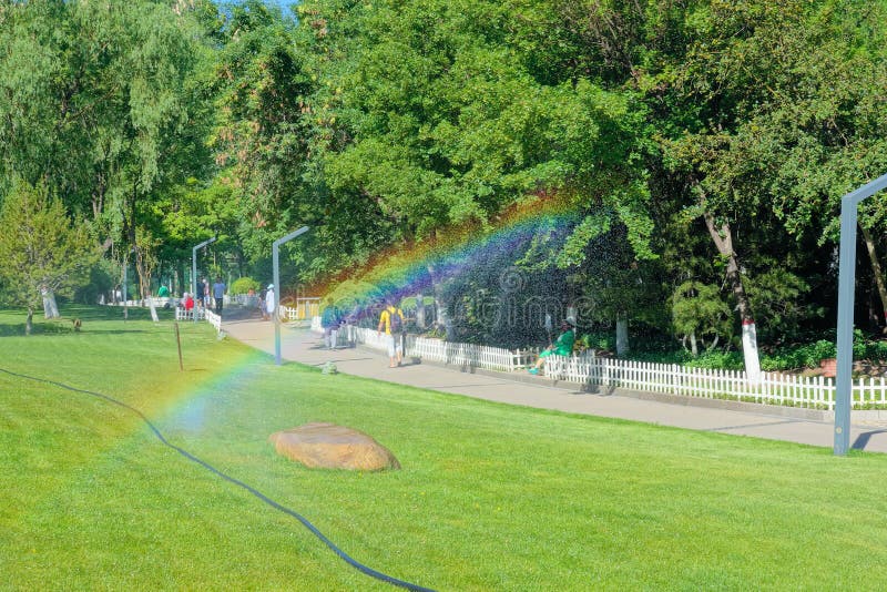 Summer park scenery