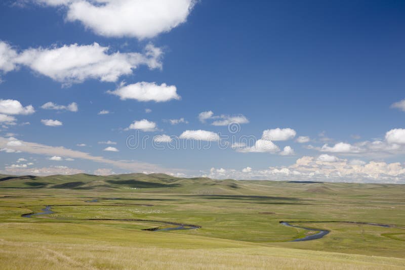 Summer prairies