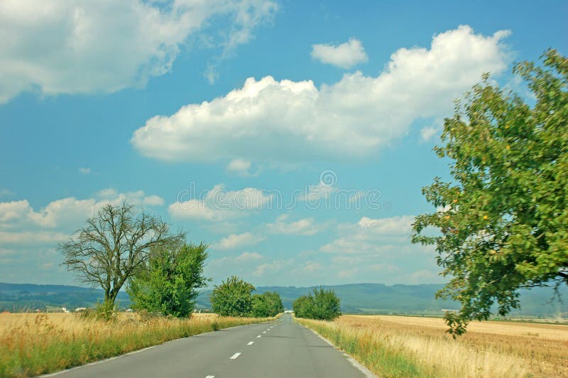 Summer road