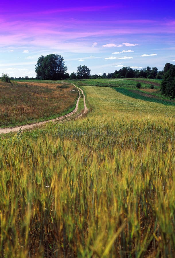 Country side summer picture with road. Country side summer picture with road