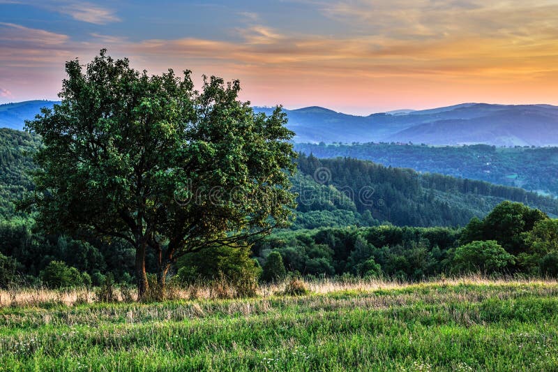 Summer rural hilly landscape with tree and forest after sunset. Horna Suca, Slovakia