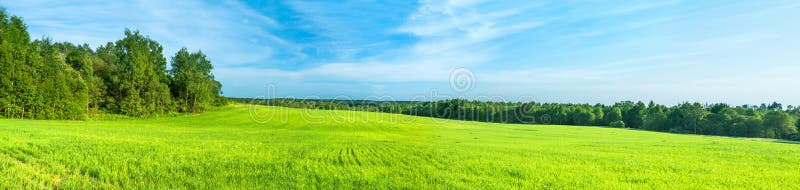 Summer rural landscape a panorama with a field and the blue sky stock image Summer rural landscape a panorama with a field and the blue sky stock image