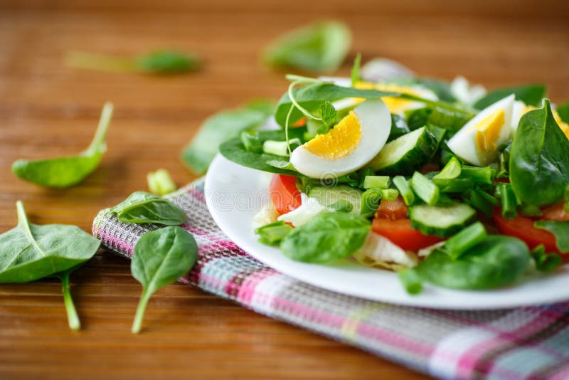 Summer salad with egg