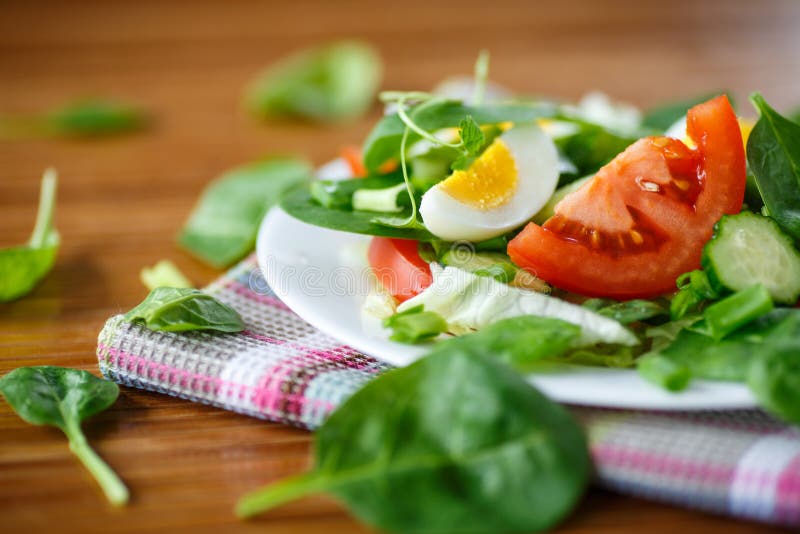 Summer salad with egg