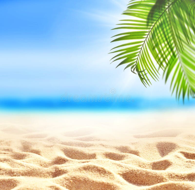 Summer Sand Beach Background. Palm Leaf, Sea and Sky. Summer Concept. Stock  Photo - Image of caribbean, nature: 199284506