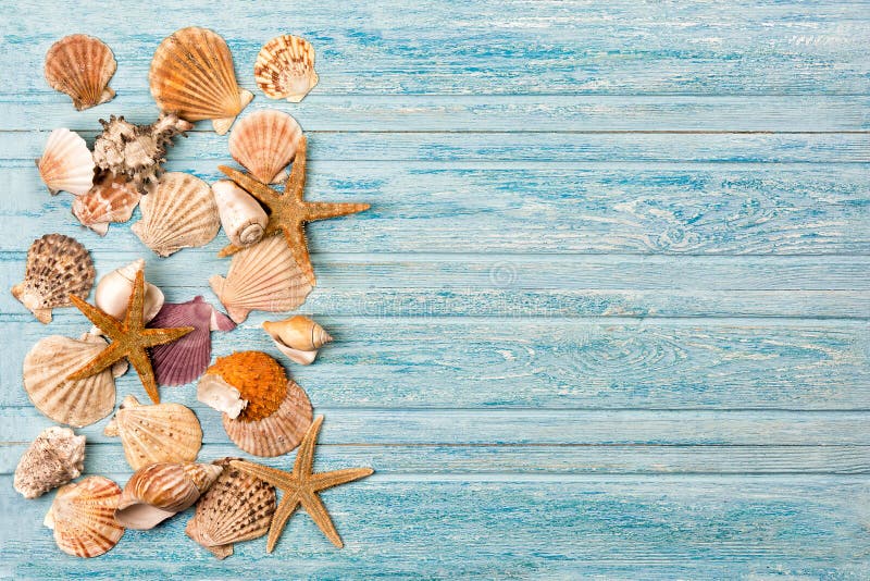 Summer sea background - shells, star on a wooden blue background stock images Summer sea background - shells, star on a wooden blue background stock images