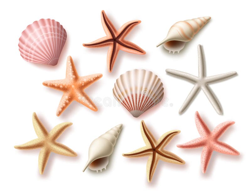 Summer seashells vector set. Beach sea shells collection and assorted aquatic objects