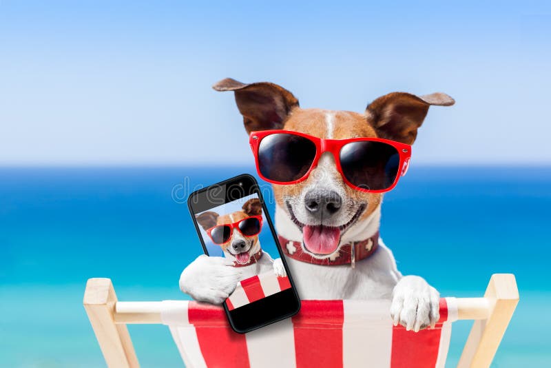 Download Summer selfie dog stock image. Image of mobile, shot - 41238807
