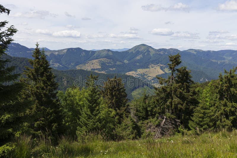 Summer Slovak Mountain Great Fatra, Velka Fatra, peaks Nova Hola 1361 m and Zvolen 1403 m, views from them, Slovakia