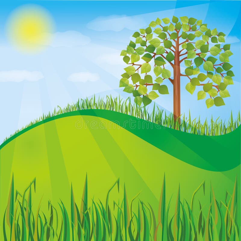 Summer or spring nature background with green tree vector illustration