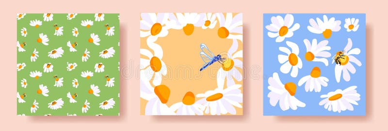 3 Summer Square Posters Daisies Bee Dragonfly White Yellow Frame Green Pattern Blue Postcard Template Banners Vector vector illustration