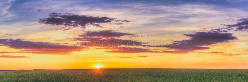 Summer Sun Shining Over Agricultural Landscape Of Green Wheat Field