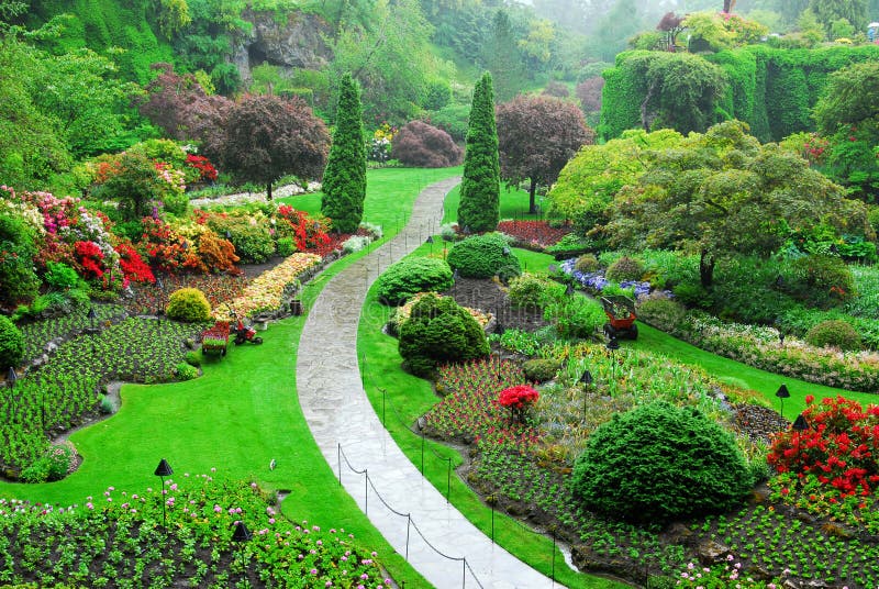 Verano de ellos irrumpieron jardín adentro jardín (a través de 100 anos en el momento de la floración),, británico,.