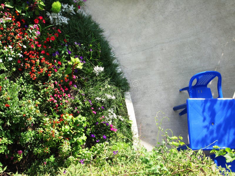 In the summer sunny blooming lush garden bright photo stock photography